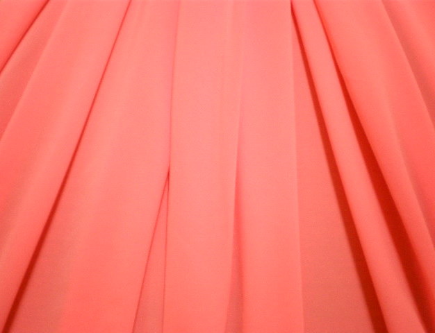 14.Salmon Activo